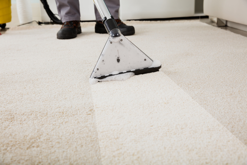 Carpet Cleaning Services